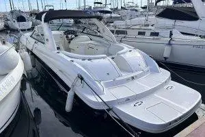 295 SS 0